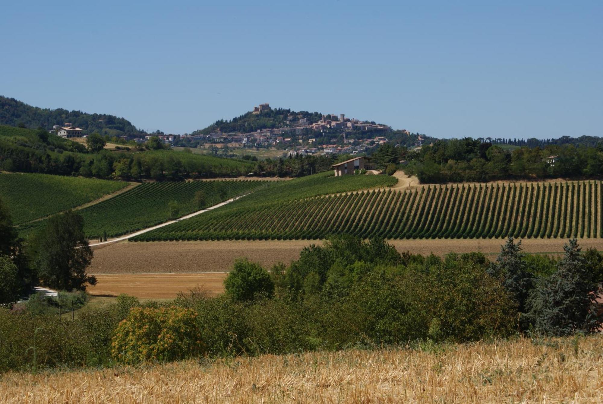 بيرتينورو Agriturismo Al Colle المظهر الخارجي الصورة