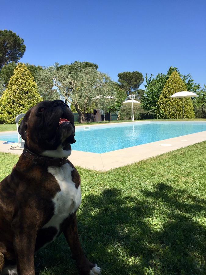 بيرتينورو Agriturismo Al Colle المظهر الخارجي الصورة